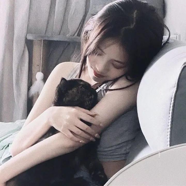 恐龙星球